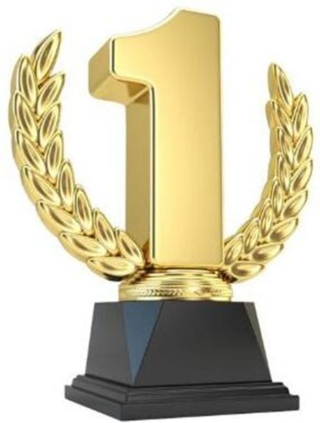 

coin dont place it its fast link for customers to pay for extra price such as shipping cost dhl fees and so on