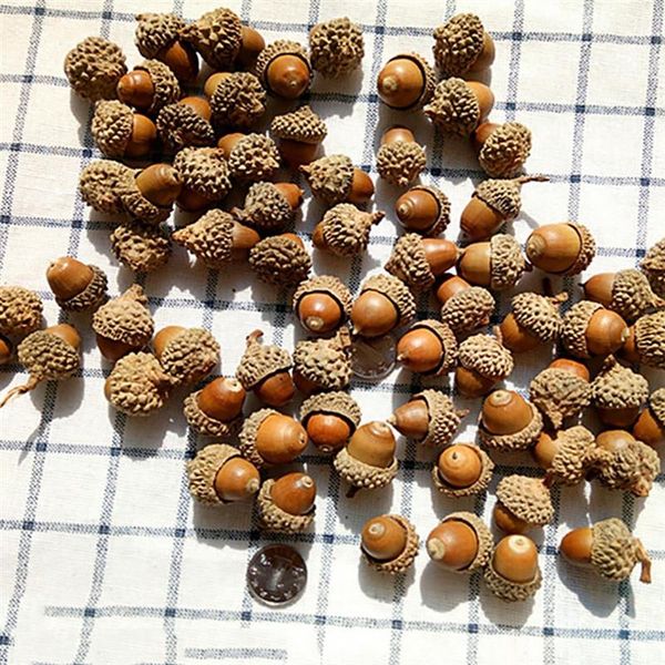 

50pcs creative natural acorn diy handmade material natural dried flowers dried pine cones retro props home decoration supplies