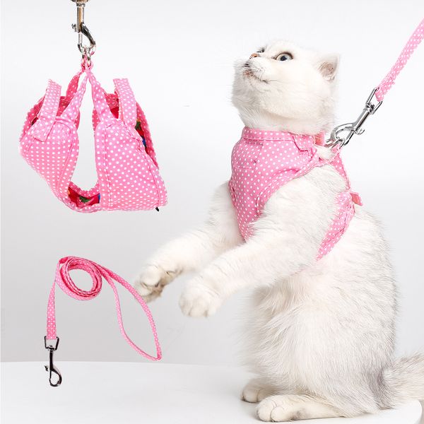 

два сладкая клубника горошек pet тяговый канат chest harness щенок cat chest задняя крышка выходят собака цепи собака rope