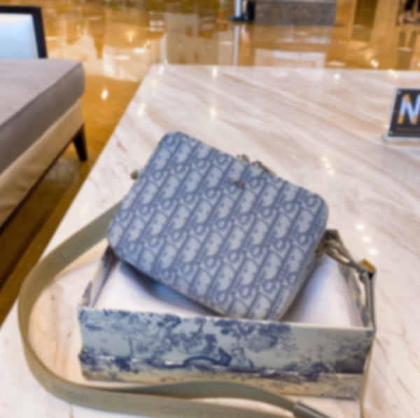 

oblique designer flap bags trendy women luxury designer saddle bags brand d letter handbags cross body totes shoulder bags female 2082002l