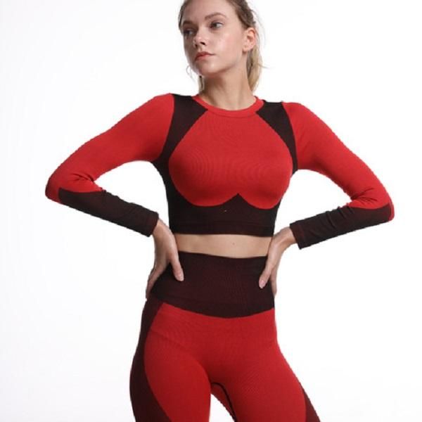 

autumn seamless designer 2pcs sport suit womens long sleeve yoga sets patchwork gym clothing workout fitness crop high waist set, Gray