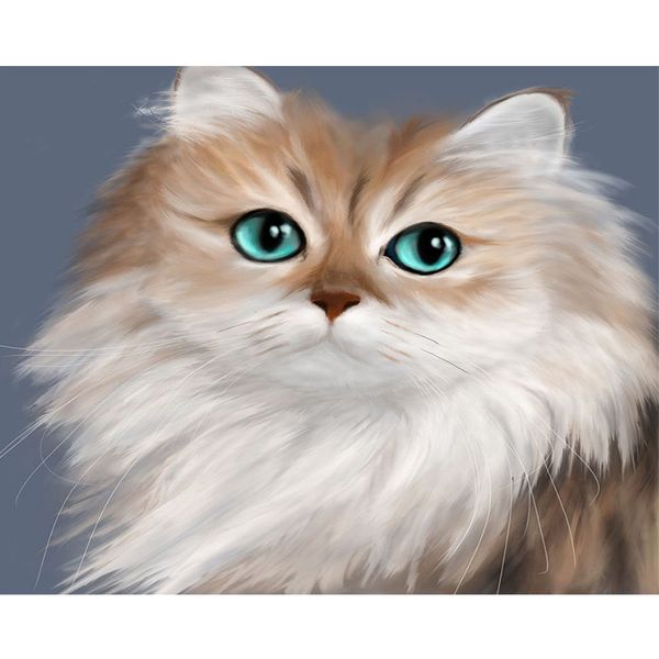 

lovely persian cat 16x20'' paint by numbers canvas oil painting for kids beginners