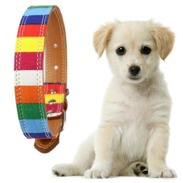 Collare con fibbia regolabile in pelle con collana di cani da compagnia in pelle colorata arcobaleno Forniture per animali domestici di vendita calda