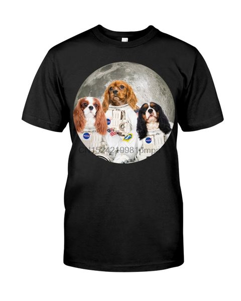 

men t shirt cavalier king charles spaniel(25) women tshirts