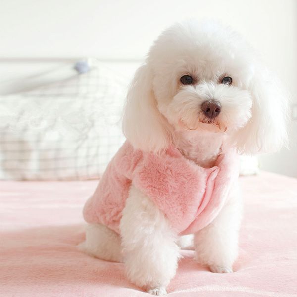 

reversible dog coat jacket double-sided wearable dog clothes winter pet outfit vest yorkie poodle bichon pomeranian pet clothing