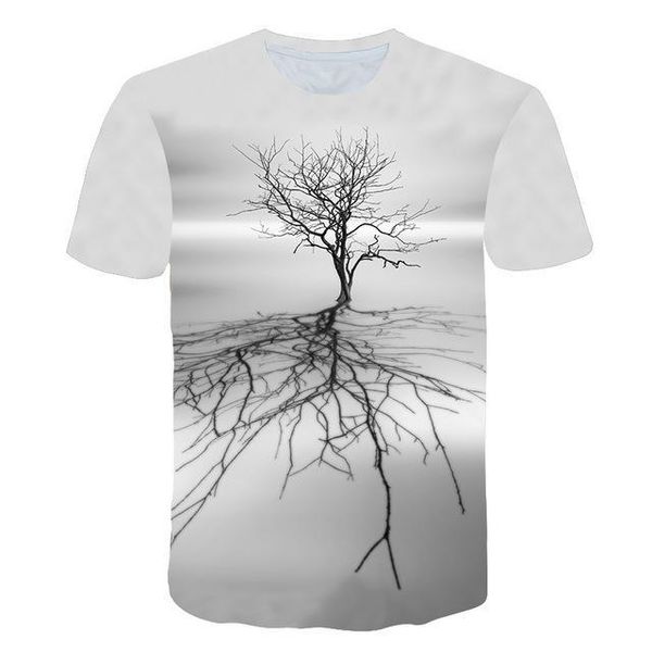 

picturesque male landscape scenery /women snow mountain t -shirt 3d print shirts oversized hippie hentai men clothing