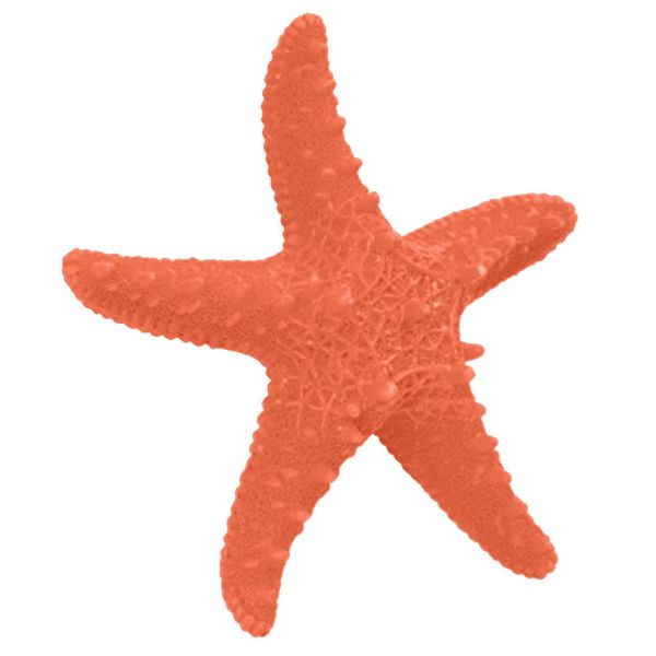 

shop deskhome living room hanging ornament wall starfishes decorative wooden