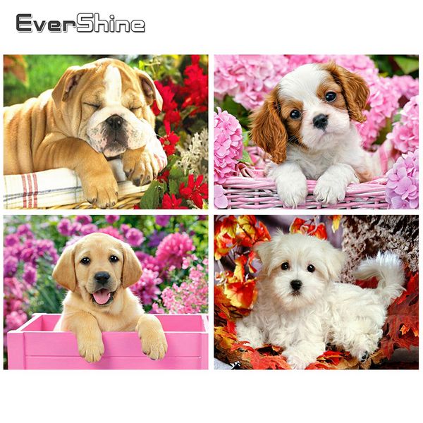 

wall art dog diamond painting full square rhinestone pictures 5d diy animals embroidery full set decoration home