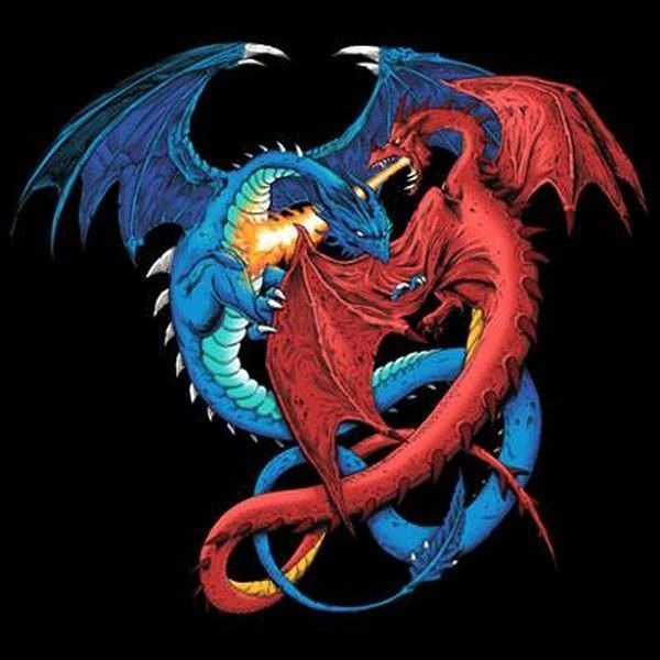 

fashion men t shirt duel dragon t shirt choose style & size up to 4xl 10465 tshirt homme