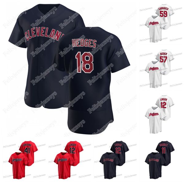 

2020 new shane bieber austin hedges francisco lindor jose ramirez carlos santana carlos carrasco franmil reyes mike an jersey, Blue;black