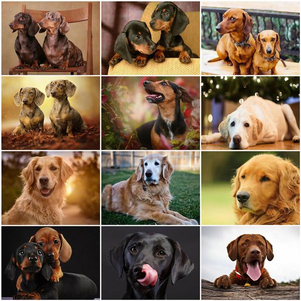 

azqsd paint by numbers animal acrylic paint unframe home decor diy oil painting by numbers dogs unique gift