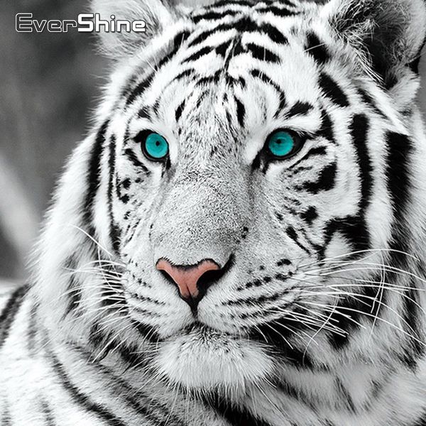 

wall art 5d diamond painting full drill square animals tiger diamond embroidery cross stitch kit diamond picture home frescoes