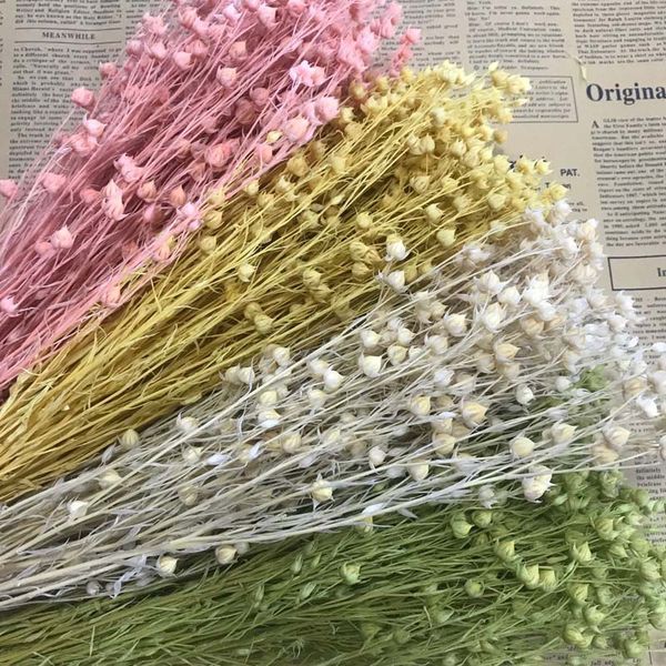 

60-70g/30-40pcs,decorative natural dried bead flowers bouquet preserved jequirity branch,mini fruit jumble-beads for home decor