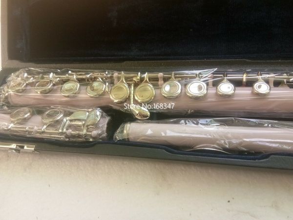 Alta qualità 16 fori ravvicinati flauto in polvere C chiave placcata strumento musicale con accessori spedizione gratuita