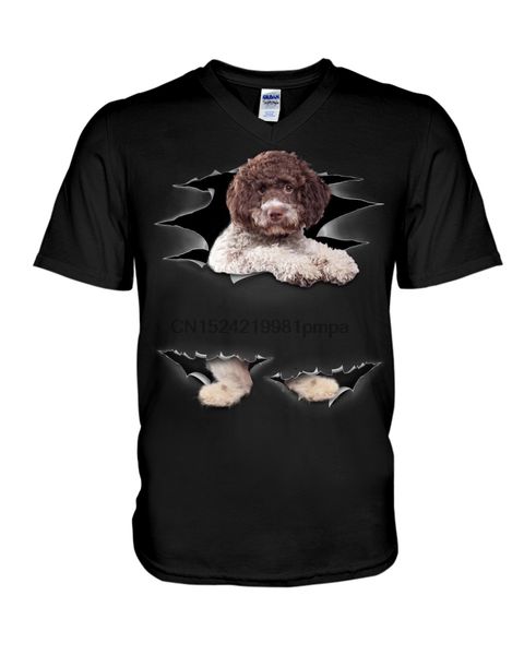 

men t shirt lagotto romagnolo - torn(14) women tshirts