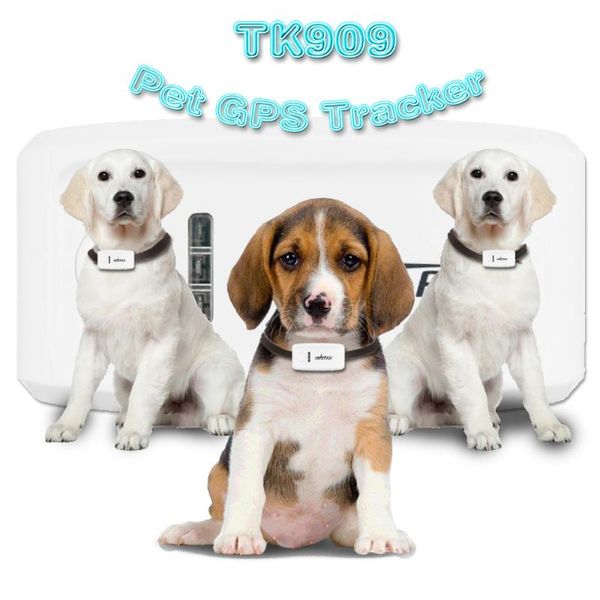 

100% original tkstar tk909 pet gps gsm mini tracker locator gps tracking device with collar for dog cat tracking realtime