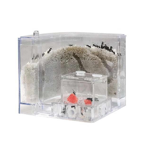 

accessories sand nest breeding cage educational kids toy plastic ant house set