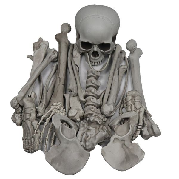 

скелет кости черепа home decor привидениями дом halloween graveyard сцена клуба