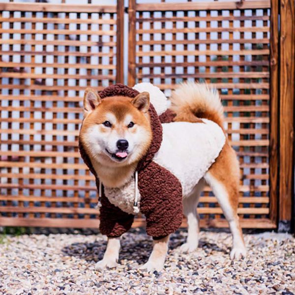 

теплое пальто собаки casual мягкая осень зима pet одежда хлопок puppy партии бленды