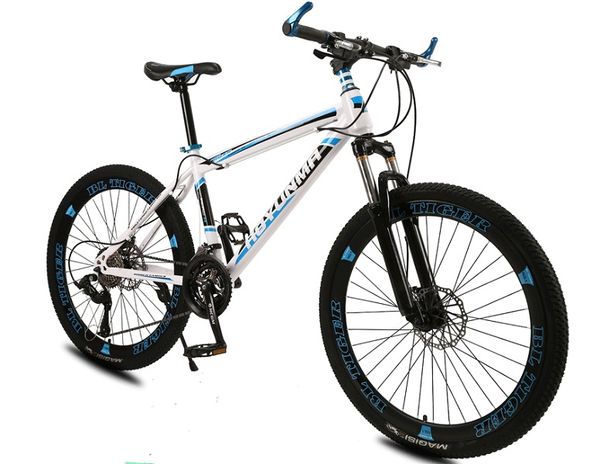 

shock-absorbing dual-disc mountain bike