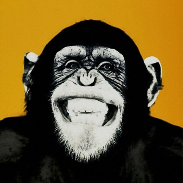 

andy warhol pop art wall decor laughing monkey 02 home decor handcrafts /hd print oil painting on canvas wall art canvas picture 200822
