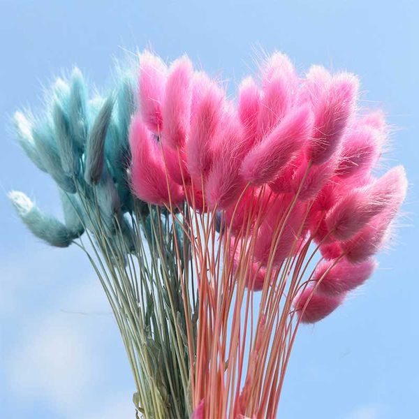 

20pcs/lot tail grass dried flowers bouquet for home decoration flower arrangement eternal flower real flowers