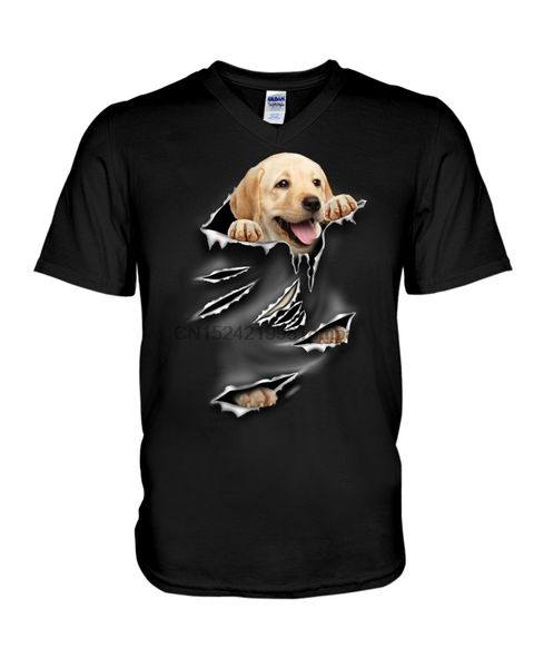 

men t shirt labrador - torn 3(14) women tshirts
