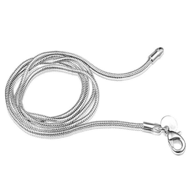 

chain necklace 16 18 20 22 24 inch chains designer necklace jewelry factory price 2mm sterling silver snake gd707