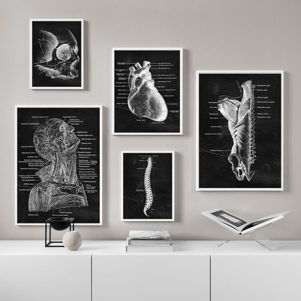 

anatomy art human heart vertebral skeleton wall art print canvas painting nordic poster wall pictures for doctor office decor
