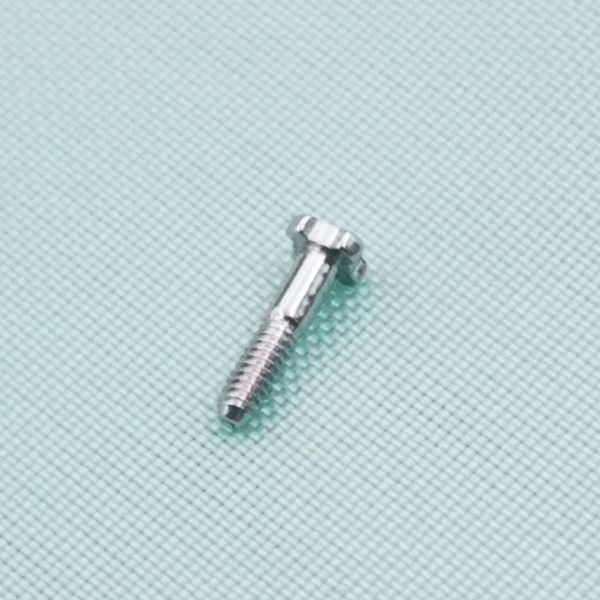 

12 pcs 4 star four star silver polished stainless steel screw for rm rm 50-03/01 rm-11 rm011 watchband strap