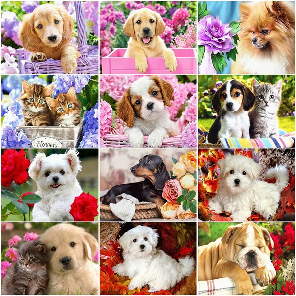 

стены искусства краска по количеству canvas картина наборы животных оригинальные подарки акриловые краски раскраски по номерам собак украшен