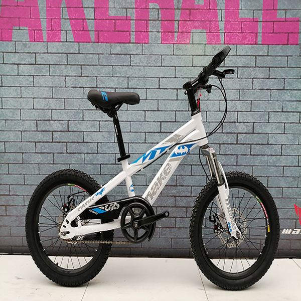 

youth 20 inch 21 speed dual disc brake mountain bike