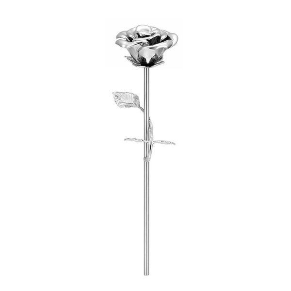 

iju002 ссылка для martijn 2020-3-16, Silver