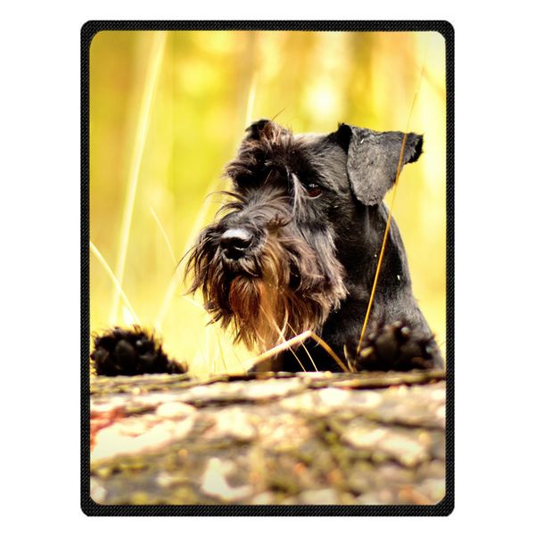 

blankets schnauzer warm fleece throw blanket super soft flannel manta for sofa/bed/car/plane/travel/baby bedspread