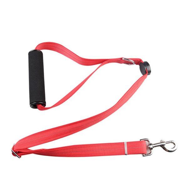 

led adjustable nylon illuminate pet dog products leashes leads goods
