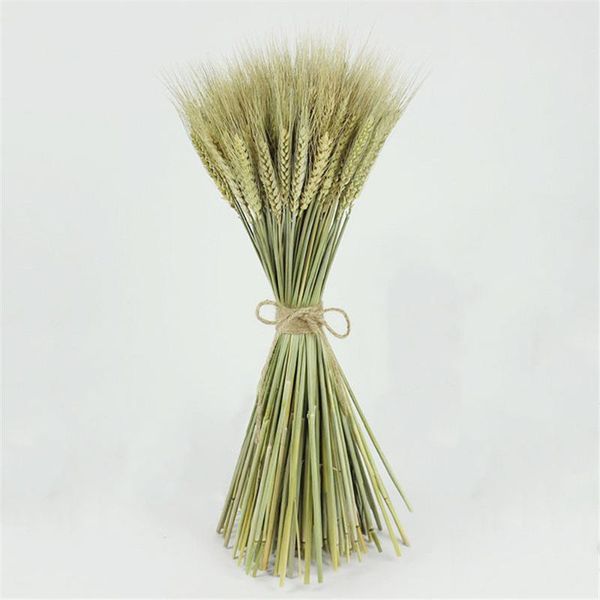 

decorative flowers & wreaths 100pcs/pack green color wheat ears flower natural dried home decor bouquet