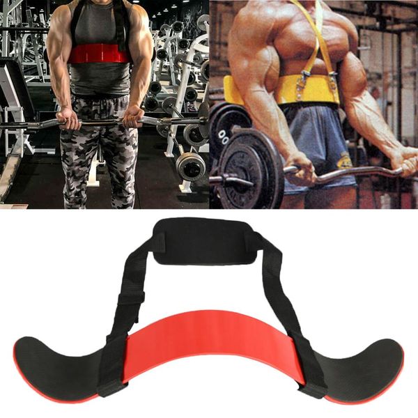 

arm blaster body building bomber bicep curl triceps muscle strength gains