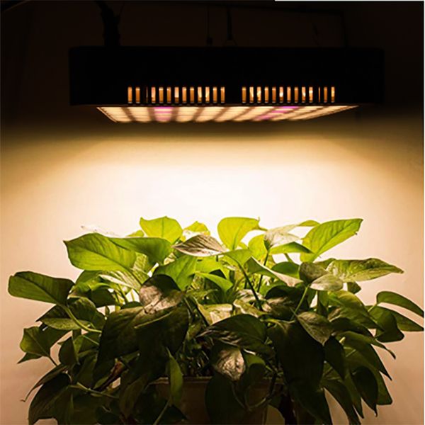 

led grow light 1200w full spectrum led grow палатка покрытый зеленые дома лампы завод вырастить лампа для вег цветение