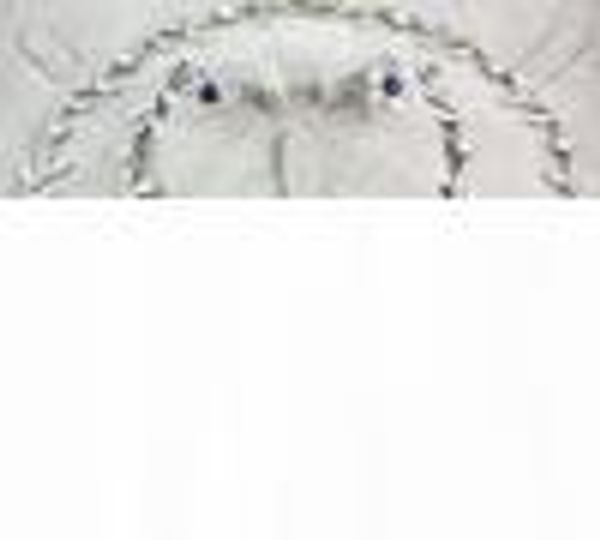 

crystal silver plated noble crystal flower jewelry necklaces bracelets earrings rings set for women