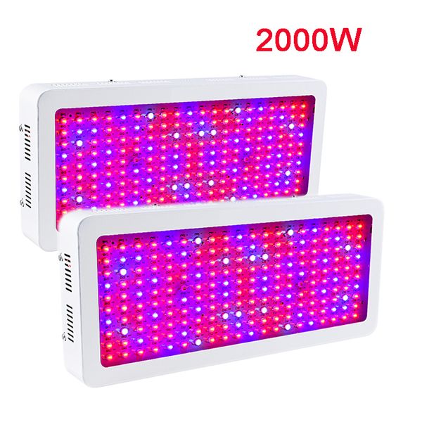 Il doppio chip LED da 2000 W coltiva le luci a spettro completo rosso blu UV IR per piante da interno e fiori di alta qualità