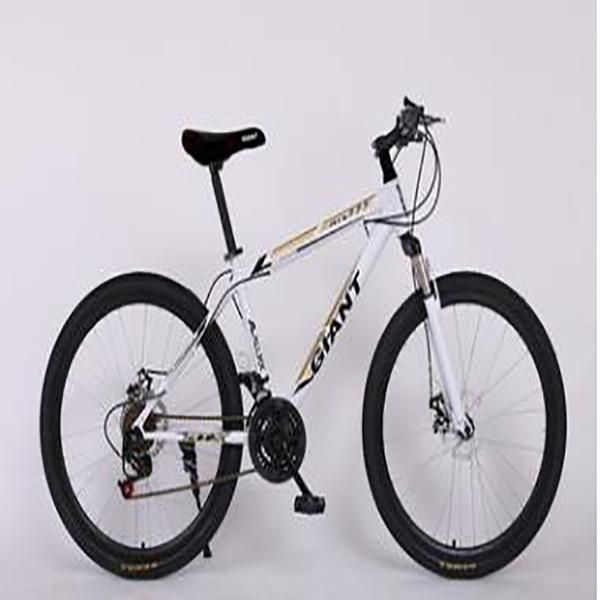 

new fashion gtant outdoor off-road variable speed bike version men's mountain bike dead fly couple city bike 444 121