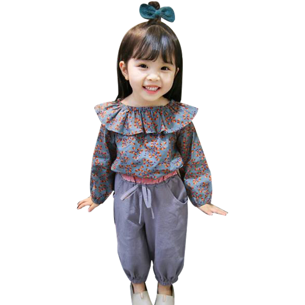 

2020 spring kids clothes girl floral t-shirt + pants 2pcs suit for girls ruffle baby girl clothes fashion fall for girls, White