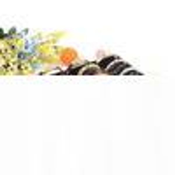 

quality 40 booths plug bracelet display stand bracelet holder bracelet tray jewelry display stands jade shop jewelry tray, Black