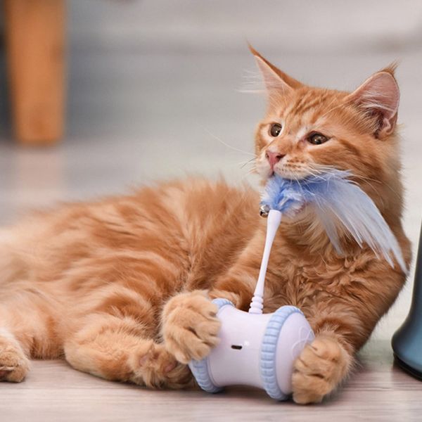 

pet toy supplies cat feathers tease cat stick intelligent rechargeable electric balance car tease toys