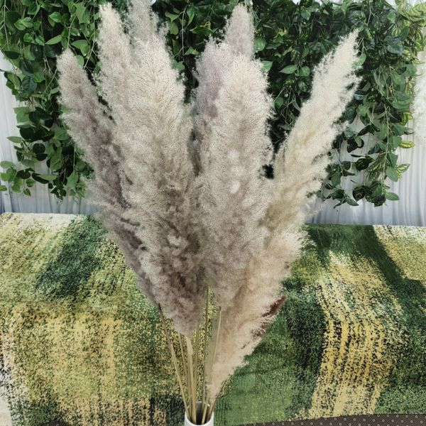 

55-60cm/ Natural Reed Dried Flower Big Grass Bouquet Wedding Flower Ceremony Decoration Modern Home Decoration