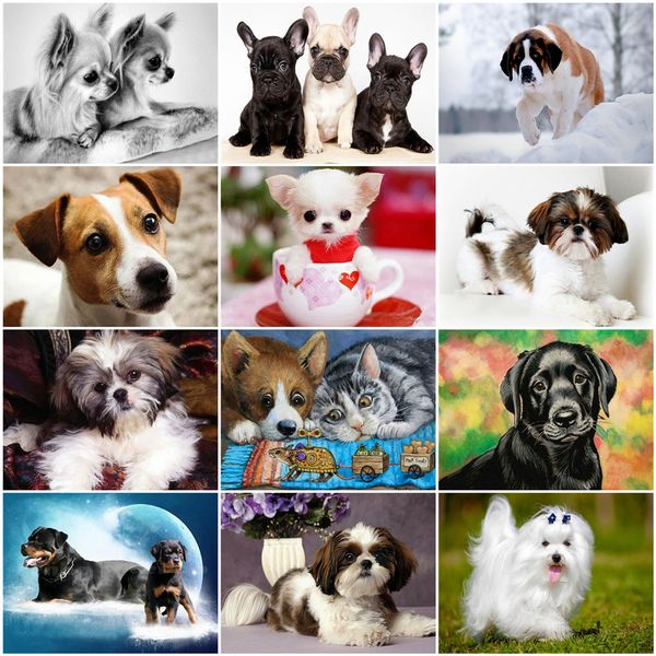 

azqsd diy unframe oil painting by numbers dog acrylic paint coloring by numbers canvas animal handpainted gift kits