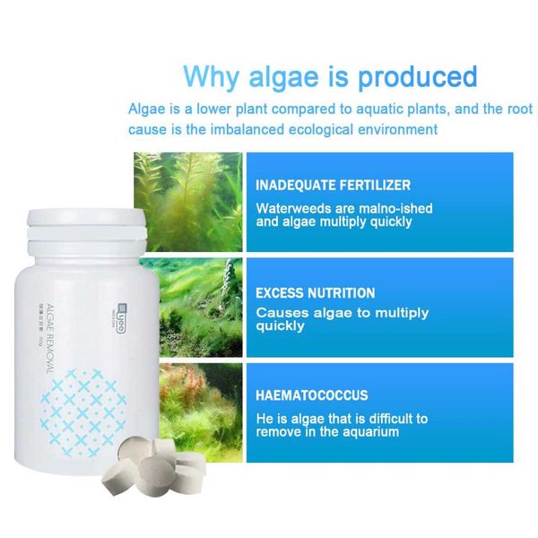 

safe fish tank portable moss remover algae repellent agent 50g cleaning aquarium