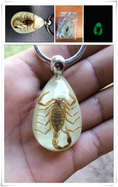 

car motorcycle light insect keychain scorpion key ring for macan cayenne 911 panamera mission, Silver