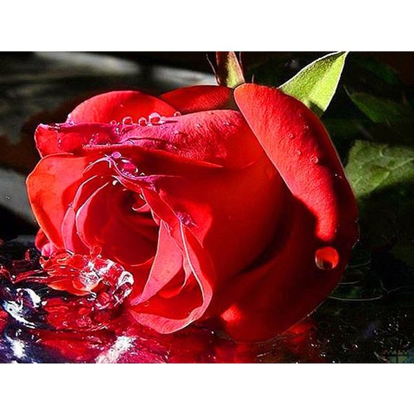

5d diamond painting rose flower home decoration handcraft kit embroidery picture full square drill