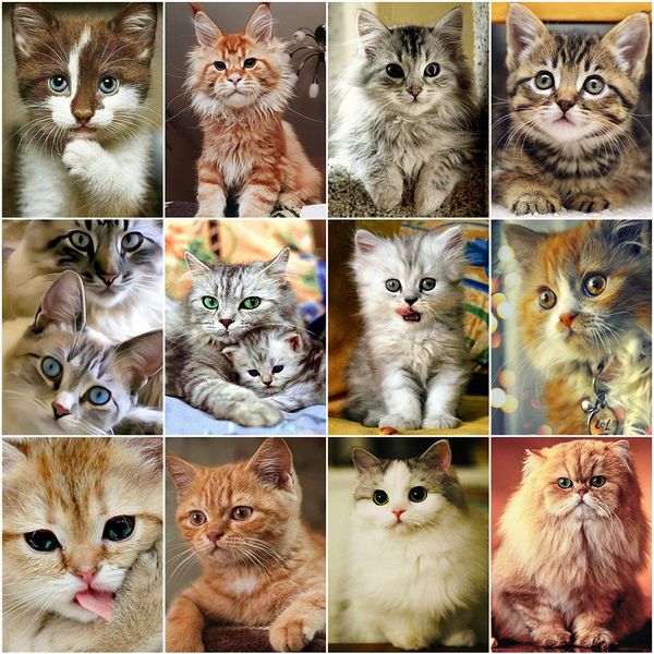 

evershine diamond embroidery cat 5d diy diamond painting animals cross stitch kit rhinestones mosaic full layout home decoration